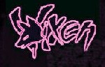 Logo Vixen