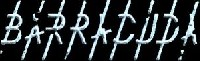 Logo Barracuda