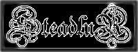 Logo Steadlr