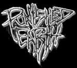 Logo Punished Earth