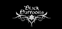 Logo Black Daffodils