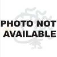 Logo The Delta Saints