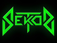 Logo Sektor