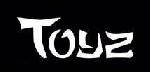 Logo Toyz