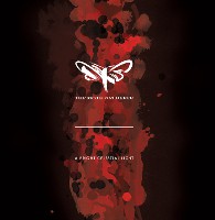 The Moth Gatherer - A Bright Celestial Light