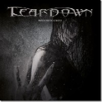 Teardown - Inner Distortions