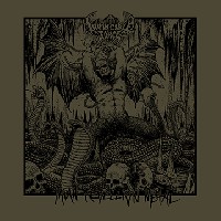 Invincible Force - Satan Rebellion Metal Invincible Force - Satan Rebellion Metal