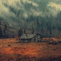 Neck Of The Woods