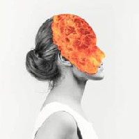 Agent Fresco - Destrier