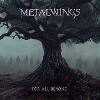 Metalwings - For All Beyond Metalwings - For All Beyond