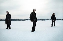 King Of Asgard King Of Asgard