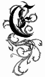 Empyrium