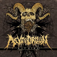 As You Drown - Rat King