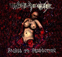 Never To Arise - Hacked To Perfection