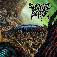 Septycal Gorge - Growing Seeds Of Decay