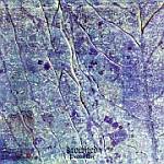 Cover von Drowned - Procul His Drowned - Procul His