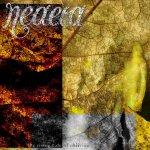 Cover von Neaera - The Rising Tide Of Oblivion Neaera - The Rising Tide Of Oblivion