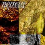 Neaera - The Rising Tide Of Oblivion