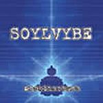 Soylvybe - Architecture
