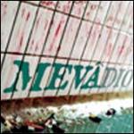 Mevadio - Hands Down