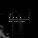 Cover von Spektr - Near Death Experience Spektr - Near Death Experience
