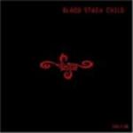 Blood Stain Child - Idolator