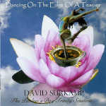 Cover von David Surkamp - Dancing On The Edge Of A Teacup David Surkamp - Dancing On The Edge Of A Teacup