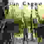 Cover von Sun Caged - Artemisia Sun Caged - Artemisia