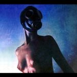 Cover von The Sin:Decay - Rehabilitation The Sin:Decay - Rehabilitation
