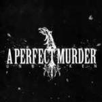 A Perfect Murder - Unbroken