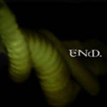 End. - The Never Ending Whirl Of Confusion (EP)