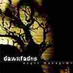 Dawnfades - Anger Management