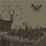 Cover von Tsorer - Return To Sodom Tsorer - Return To Sodom