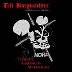 Cover von Till Burgwächter - Tillicus, Glossicus, Metallicus (Hörbuch) Till Burgwächter - Tillicus, Glossicus, Metallicus (Hörbuch)