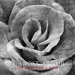 Fornost Arnor - The Death Of A Rose