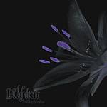 Cover von Lilyum - Nothing Is Mine Lilyum - Nothing Is Mine