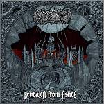 Cover von Morbidity - Revealed From Ashes Morbidity - Revealed From Ashes