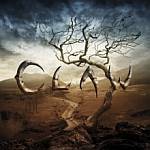Cover von Claw - Claw Claw - Claw