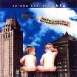 Cover von Influences And Connections - Volume One: Mr. Big Influences And Connections - Volume One: Mr. Big
